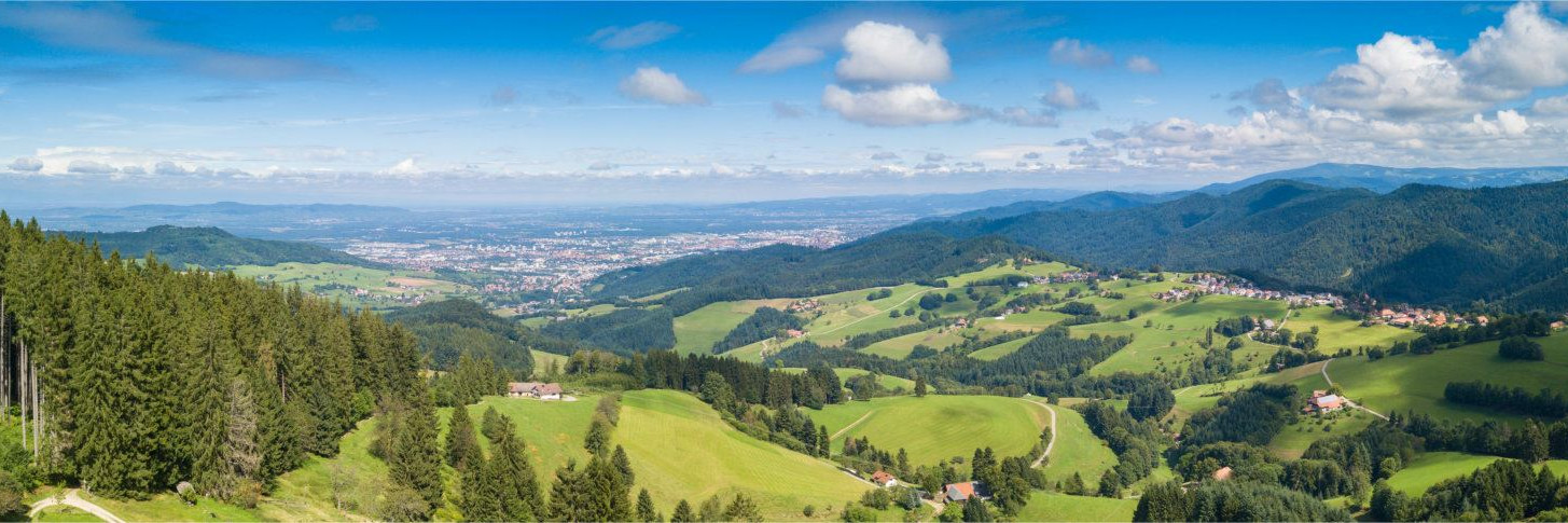 Landschaft Schwarzwald