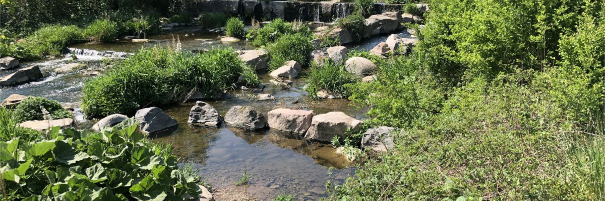 Flüsschen Steina nahe Tiengen